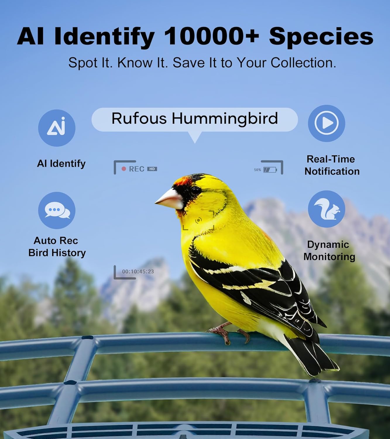 Smart Bird Feeder with Camera - 2.5K HD Night Vision Bird Feeder with Camera Solar Powered, Free AI Identify Auto Video 170° Live View Birds Feeders for Birds Lovers Outdoors(Blue)