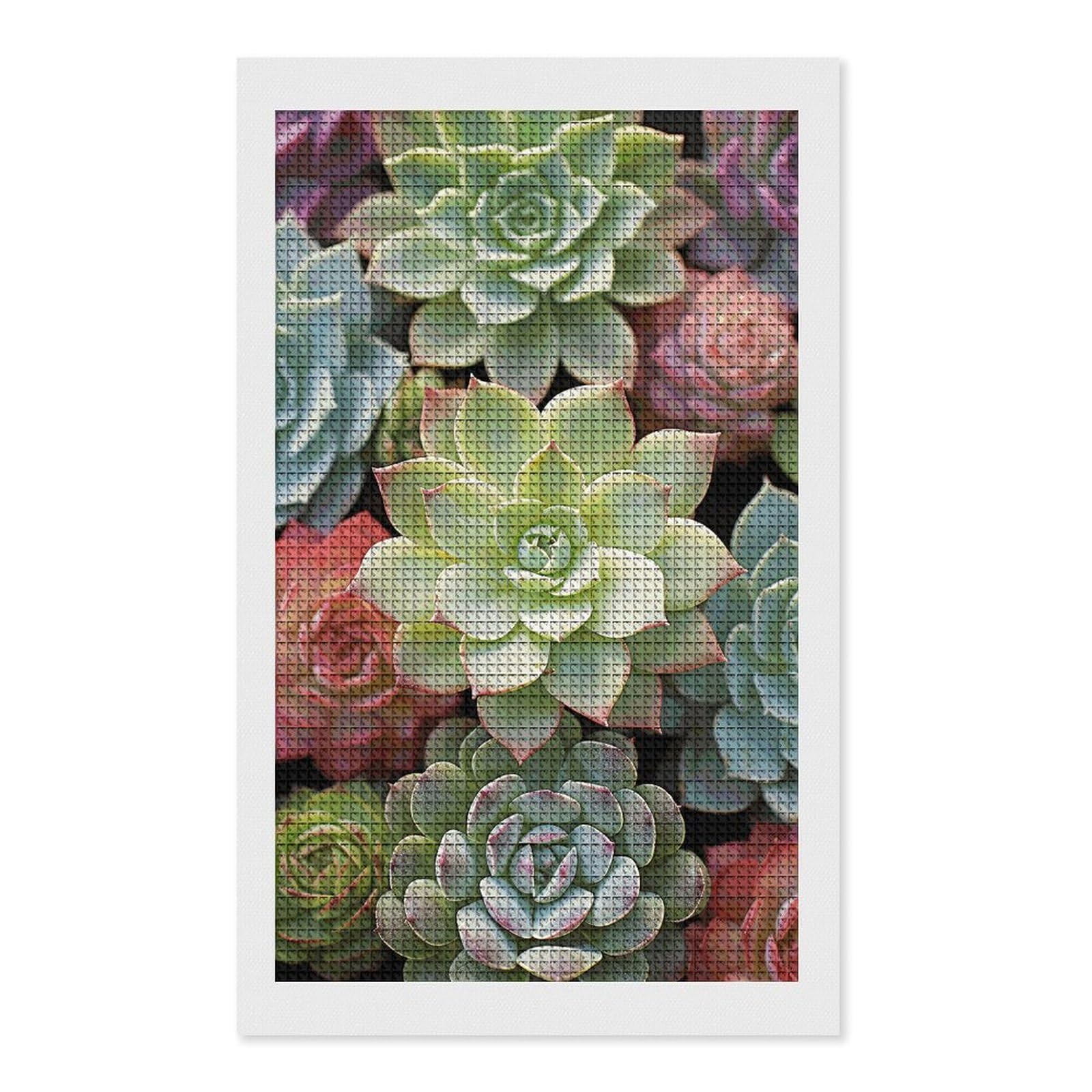 Cactus Succulents Diamond Art Kits for Adults, DIY 5D Diamonds Painting Kits for Beginner, Round Full Drill Diamond Dots Painting, 12"x20" Diamonds Pictures Gem Art and Crafts Wall Decor