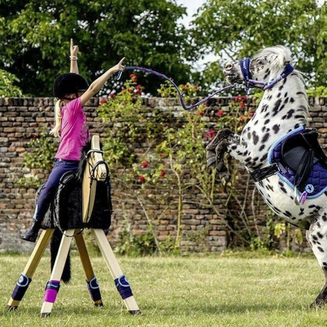 Trensenzaum gebisslos für Holzpferde Funny Horses von HKM | Trense aus Echtleder rosa | Zaumzeug für Holzpferd mit Zügel | Pferdespielzeug für Kinder | Holzpferd Zubehör