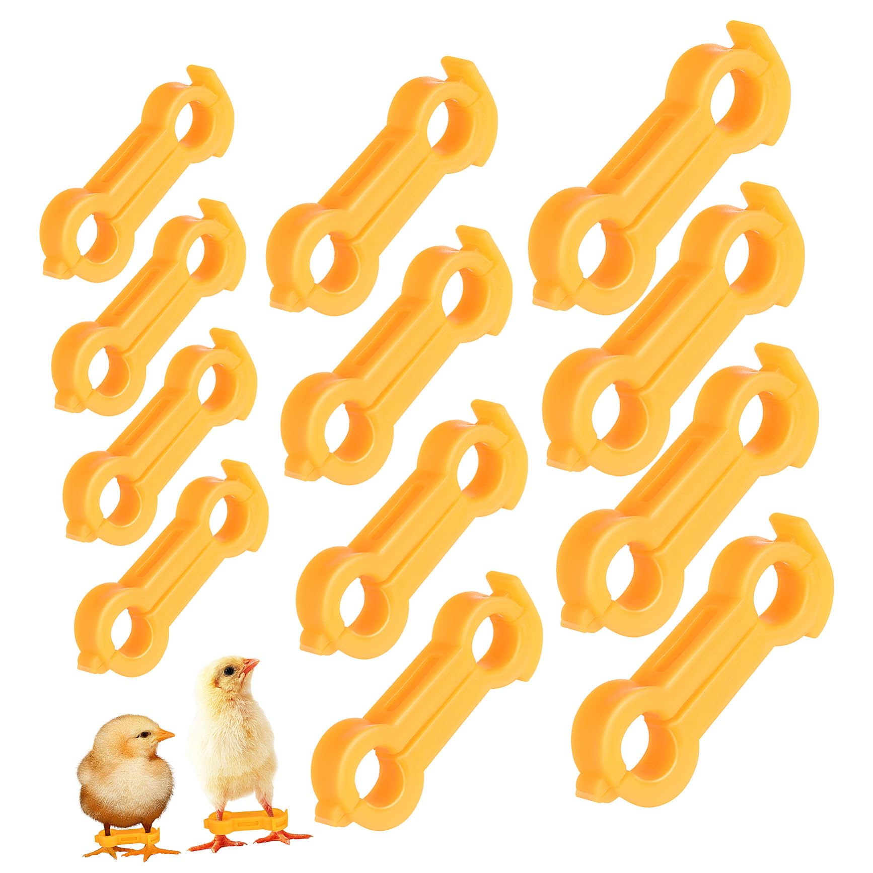 BESPORTBLE Bird Leg Bands for Pigeons Chick Leg Brace Chicken Supplies Foot Ring Bird Correction Device