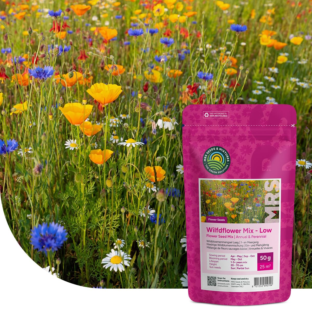 MRS Mélange de fleurs sauvages basses 1 kg pour 500 m² - 31 variétés annuelles et vivaces - Graines de fleurs des champs - Attire abeilles, bourdons et papillons