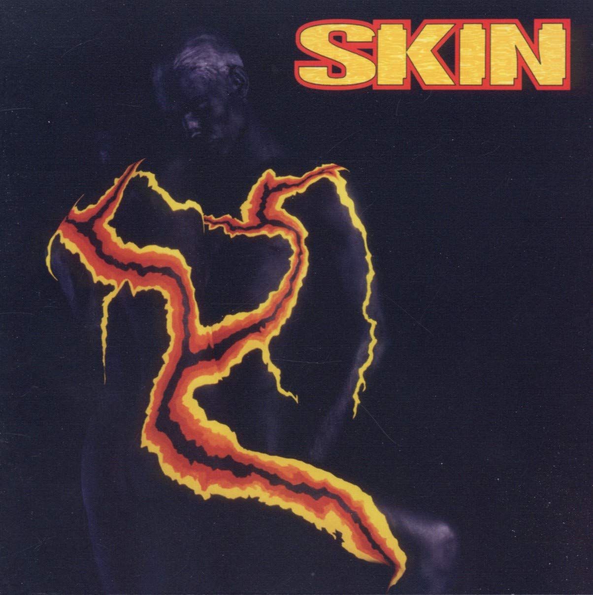 Amazon.co.jp: Skin: ミュージック
