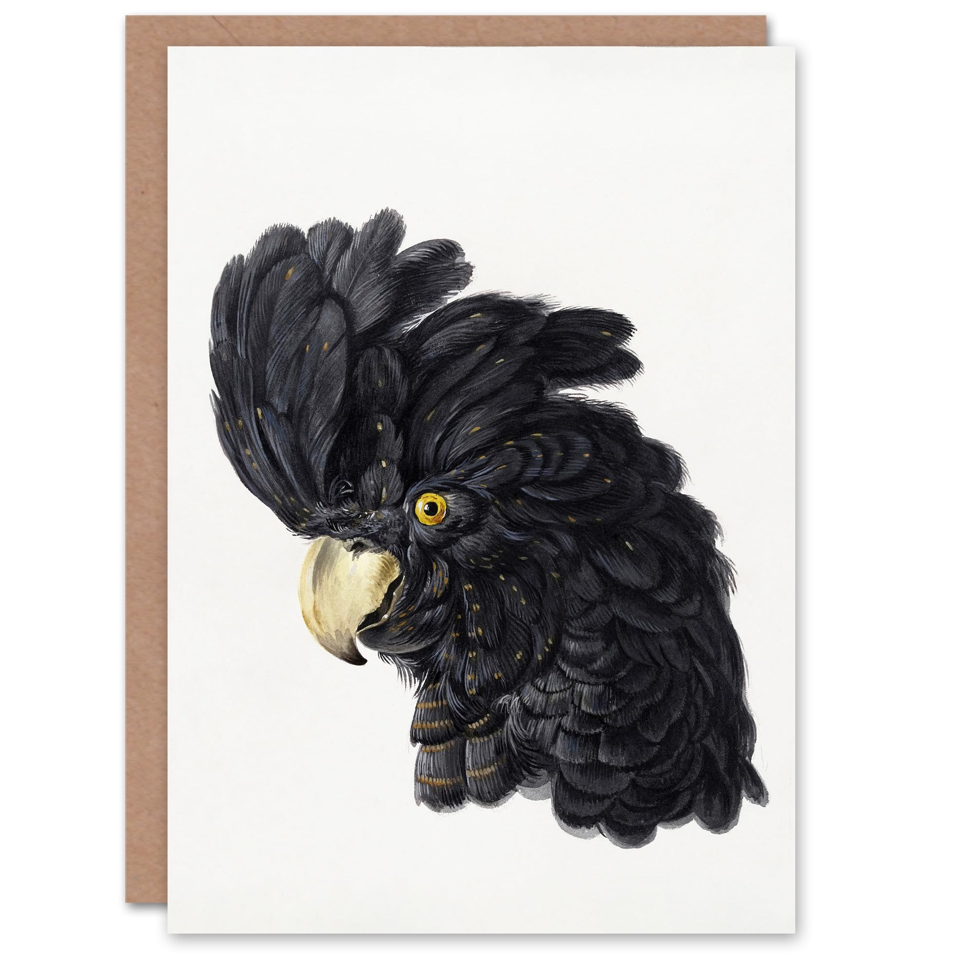 Artery8 - Greeting Card - Head of a Black Cockatoo - Watercolour