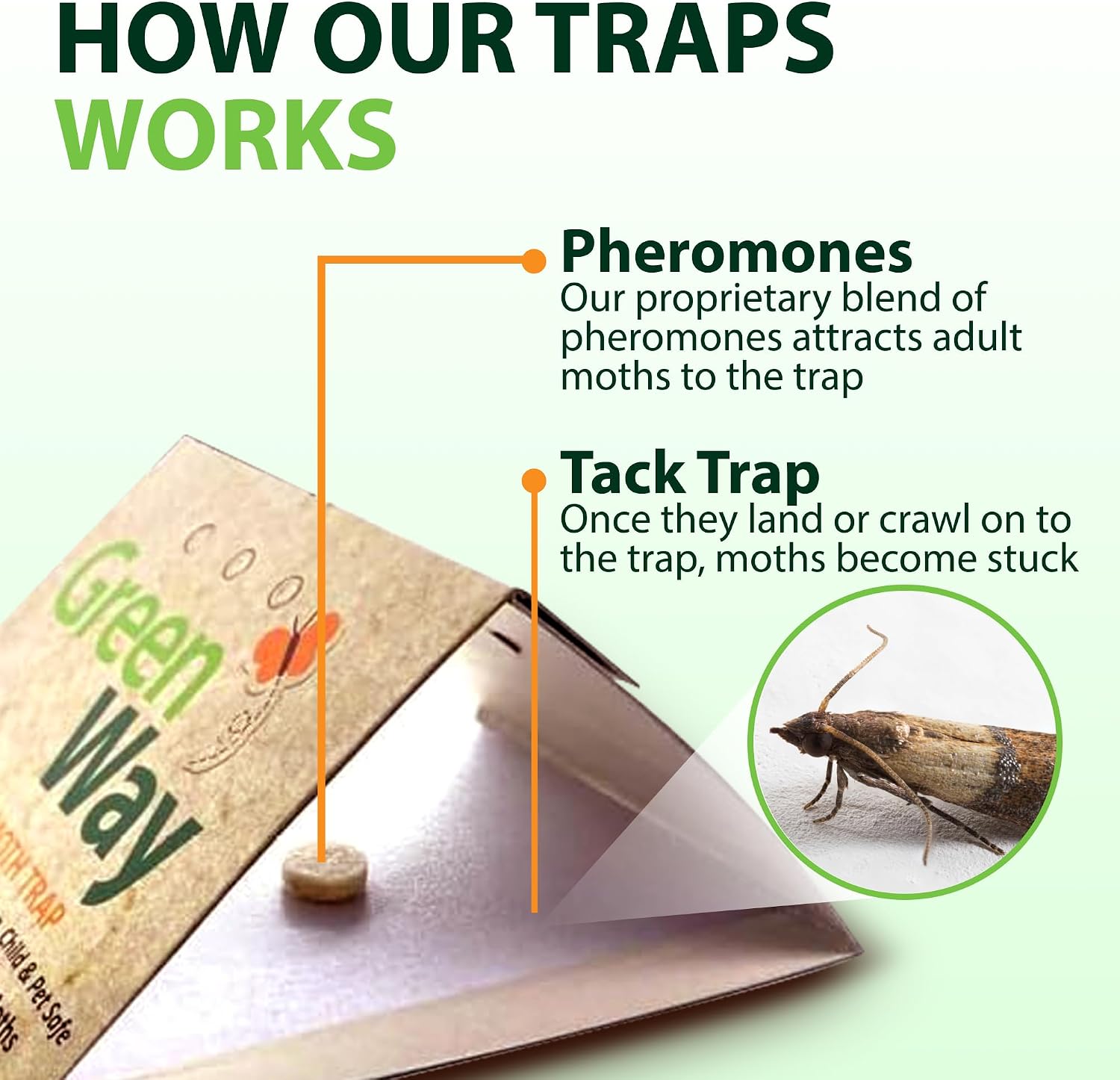 Greenway Pantry Food Moth Traps, Captures Male & Female Moths, Pheromone Attractant, Alternative to Naphthalene Balls, Non-Toxic, Child & Pet Safe, 1 Pack (Includes 2 Traps and 2 Lures)