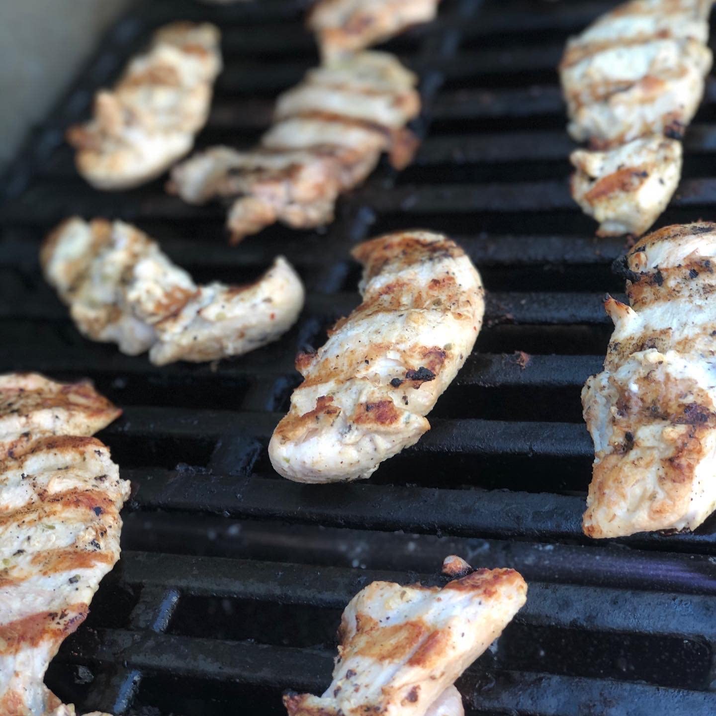 TruFlavor Seasonings 2 Pack Variety Bundle (Cuban Pork & Chicken/Cuban Grilled Chicken)