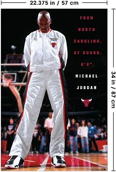 Michael Jordan - Chicago Bulls Introduction Wall Poster, 34L x 22.4W, Unframed Version