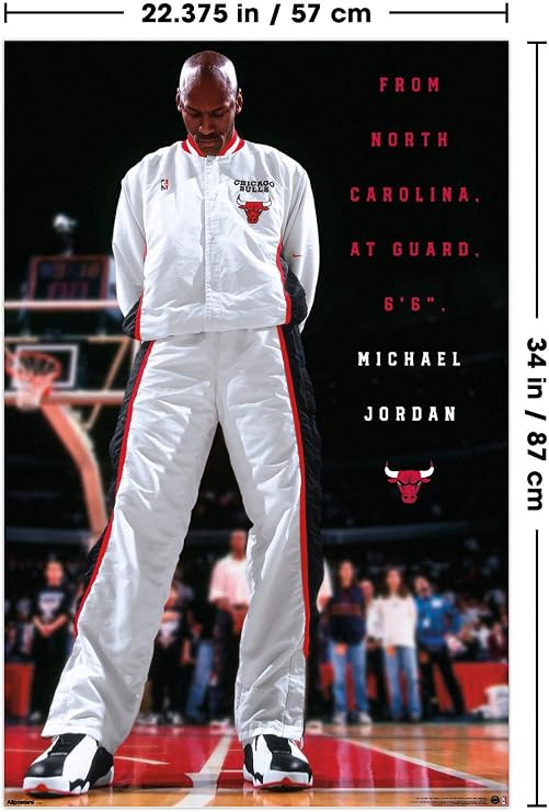 Michael Jordan - Chicago Bulls Introduction Wall Poster, 34L x 22.4W, Unframed Version