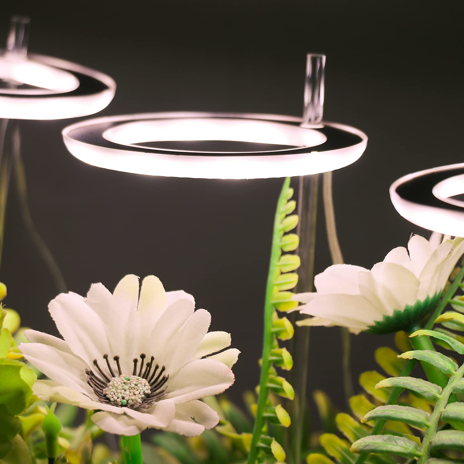 Lampe de croissance à 3 têtes LED pour plantes succulentes avec support, lampe annulaire, interface USB, lampe de croissance pour fleurs, éclairage de croissance pour plantes en pot (Blanc)