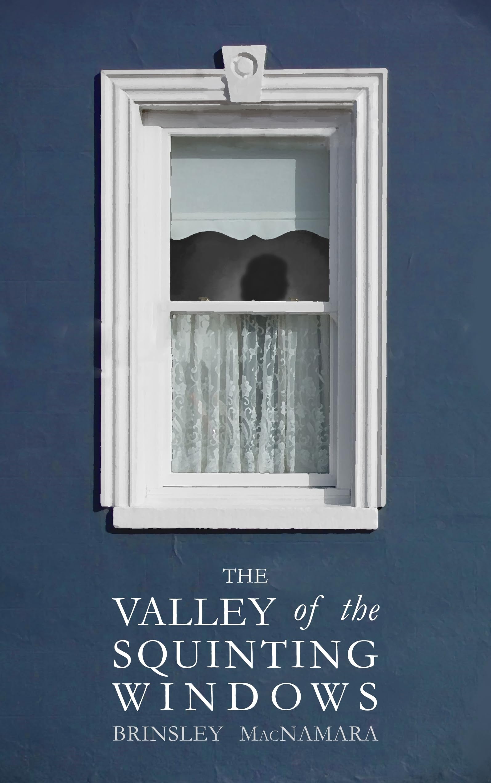 Valley of the Squinting Windows. MacNamara 9781781176498 Fast Free Shipping**