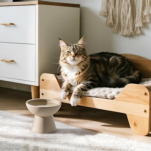 Miniatura 6 de 2 cuencos elevados para gatos extra anchos para comida y agua  Fatiga bigotes, plato ancho de cerámica poco profundo, sin plomo ni cadmio, altura