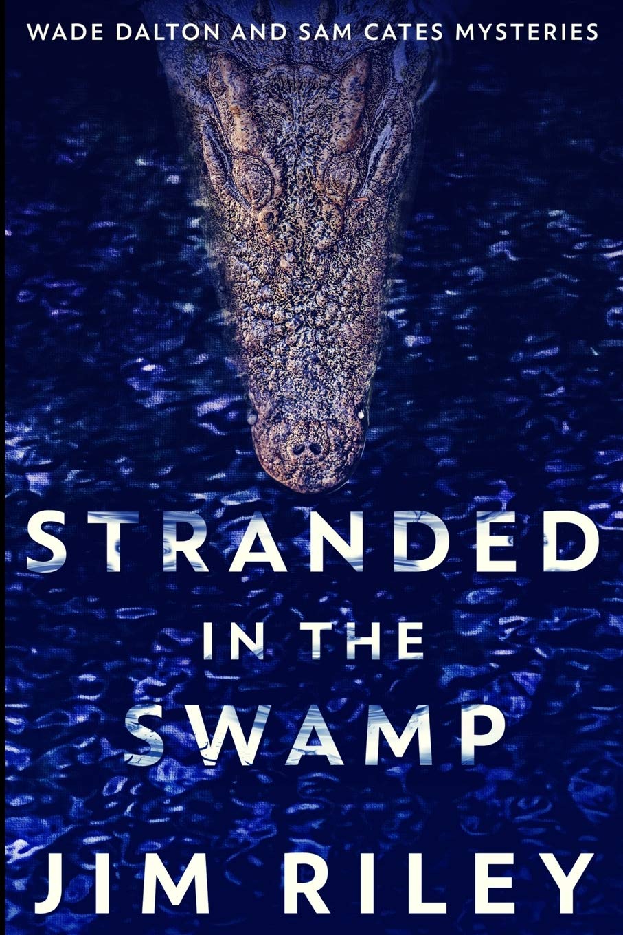 Stranded In The Swamp (Wade Dalton And Sam Cates Mysteries Book 3)