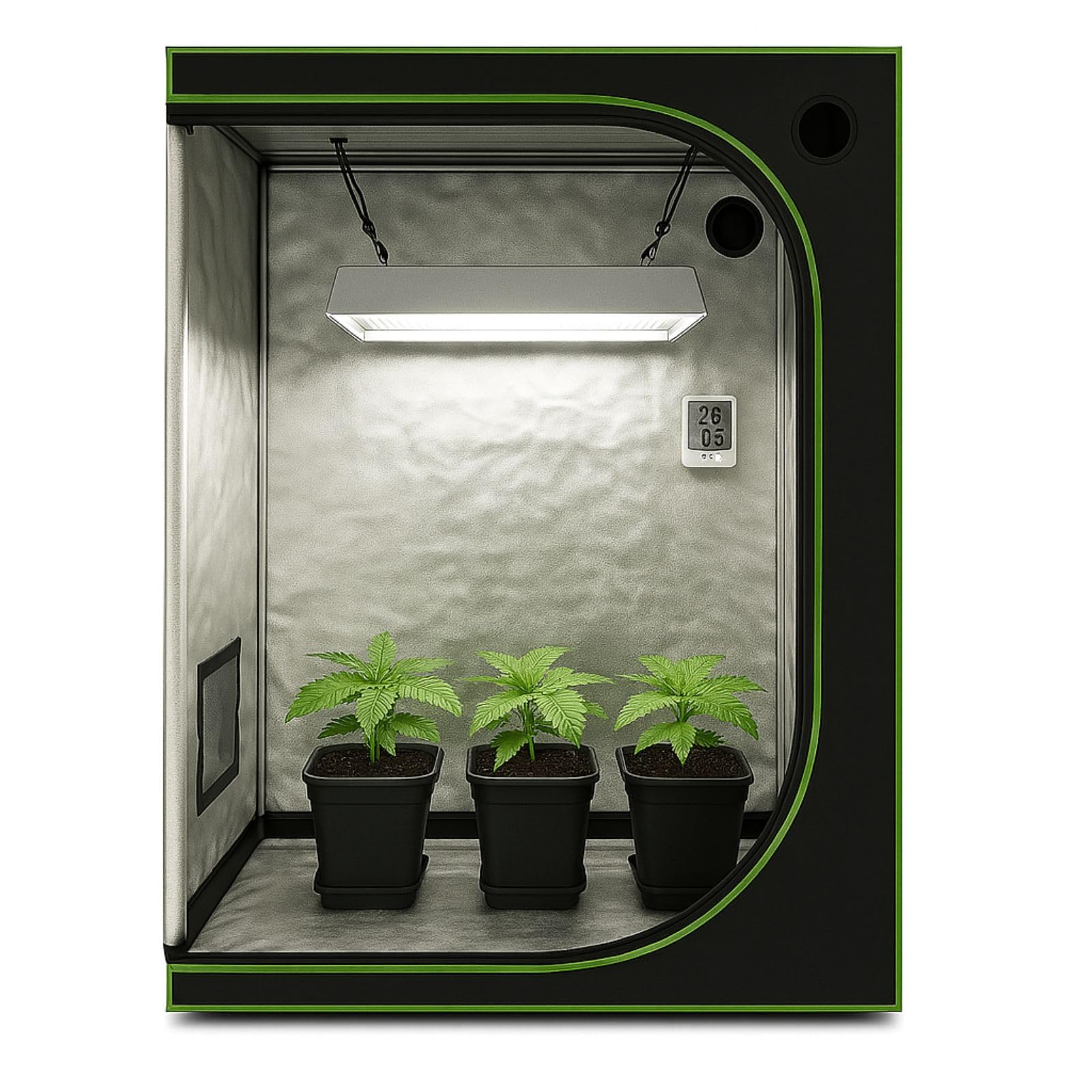 Weedness Grow Box für Indoor Zucht 60x60x160 – Lichtdicht mit hoher