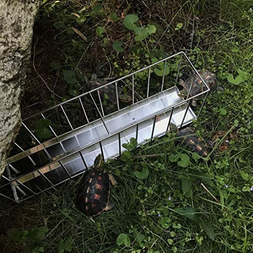 Cuenco Rectangular de Acero Inoxidable para Alimentos, Cuenco para Agua, Cuenco para Beber para Tortuga mascota-40CM