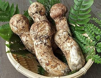 松茸　ミキちゃ Amazon.co.jp: 松茸 極上品 つぼみ 中開き 200g 国産 天然 国産松茸