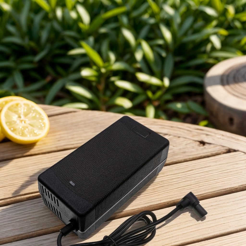 Chargeur 53,6 V pour MI4 Ultra Pro 2ème génération Navee N65i S65S40 S60 Accessoire de scooter électrique Chargeur de batterie de rechange