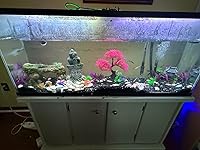 Review Image by Graytee73 Graytee73