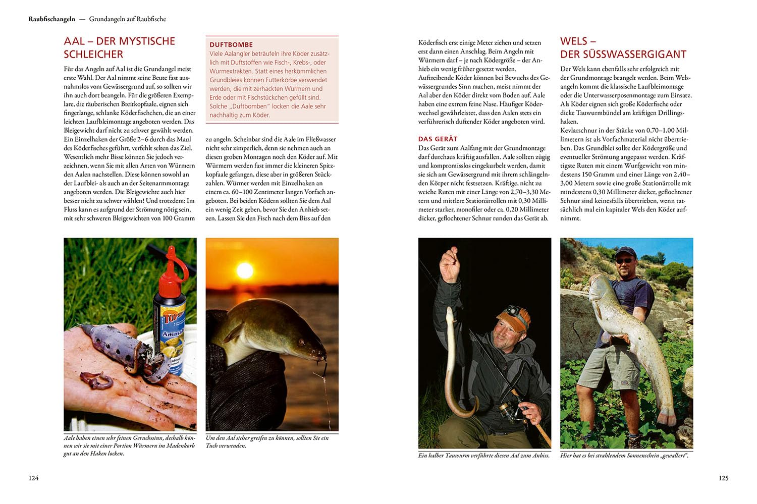 Kosmos Praxishandbuch Angeln: Technik - Taktik - Tolle Fänge - Das Standardwerk für Angler
