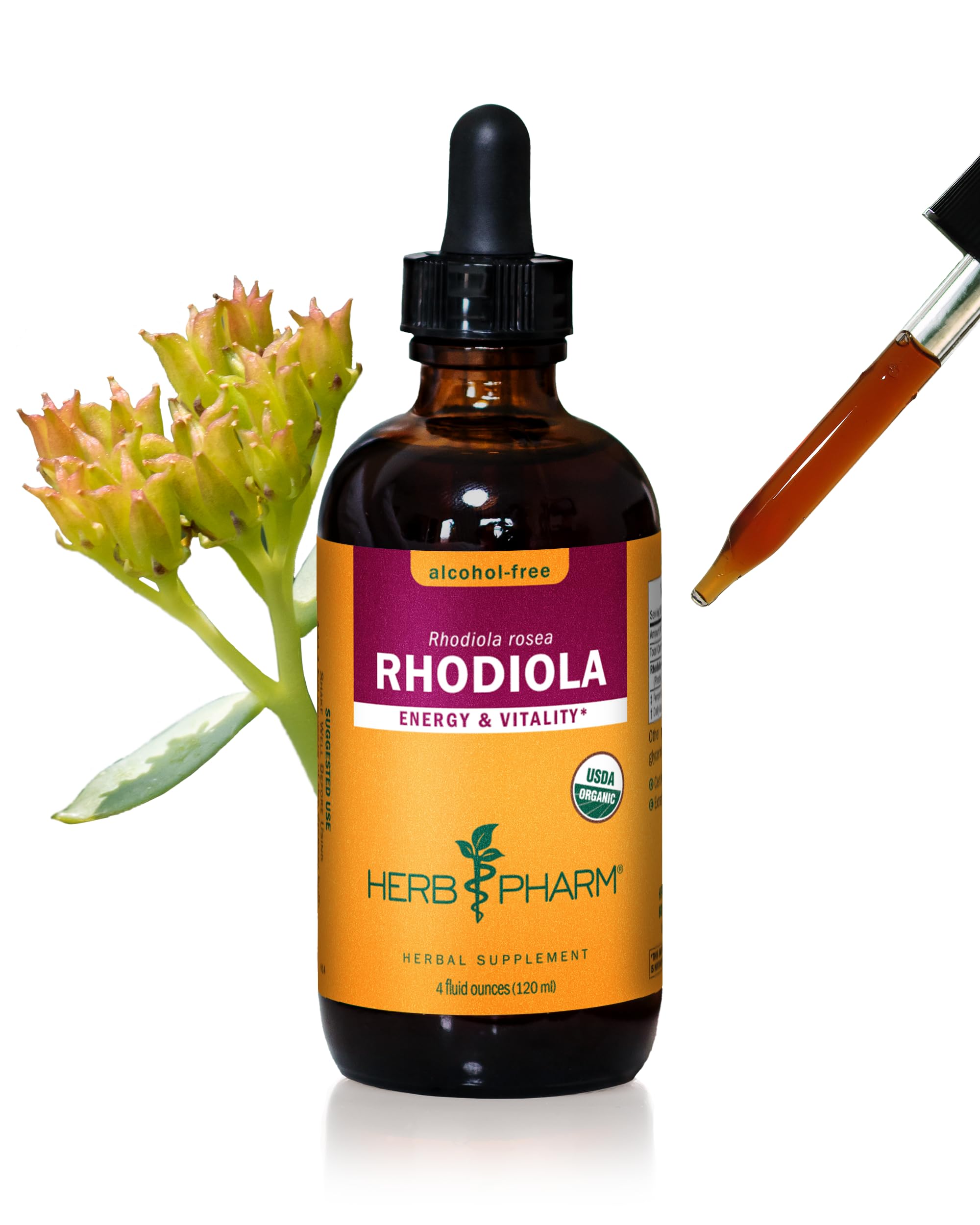 Herb Pharm Certified Organic Rhodiola Root Extract for Energy, Endurance and Stamina, Alcohol-Free Glycerite, 4 Ounce