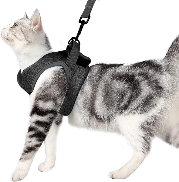 Cat Harness Leash Straps Soft and Comfortable Cat Walking Jacket with Running Cushioning and Escape Proof for Puppies with Cationic Fabric - 1