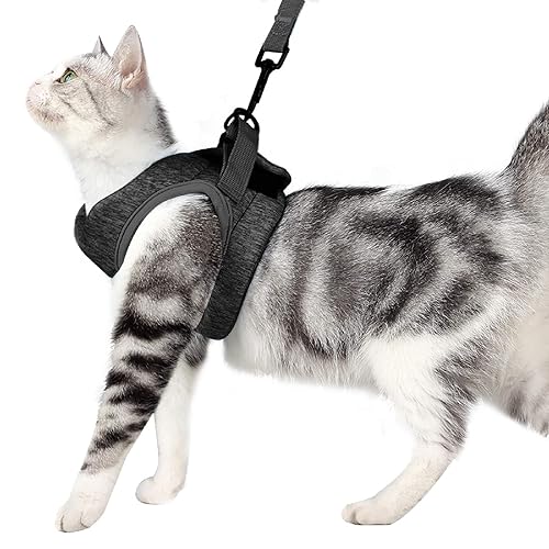 Cat Harness Leash Straps Soft and Comfortable Cat Walking Jacket with Running Cushioning and Escape Proof for Puppies with Cationic Fabric - S (Pack of 1) - Grey