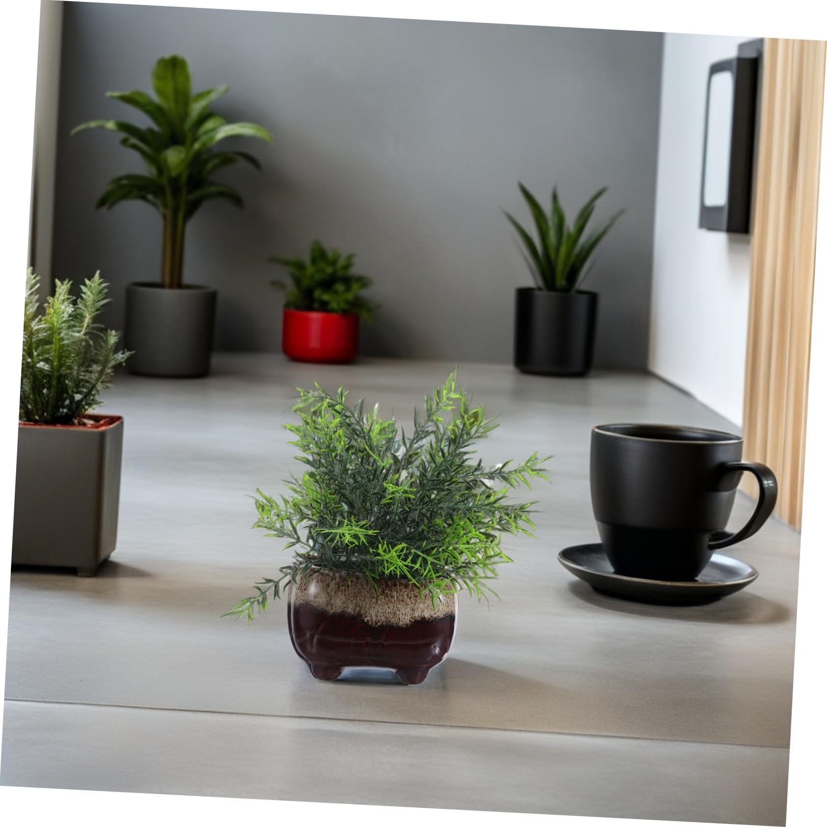 Toddmomy 5 Sztuk Doniczek Ceramicznych Na Sukulenty Dekoracja Domu Doniczka Na Sukulenty Ceramiczna Biurko Małe