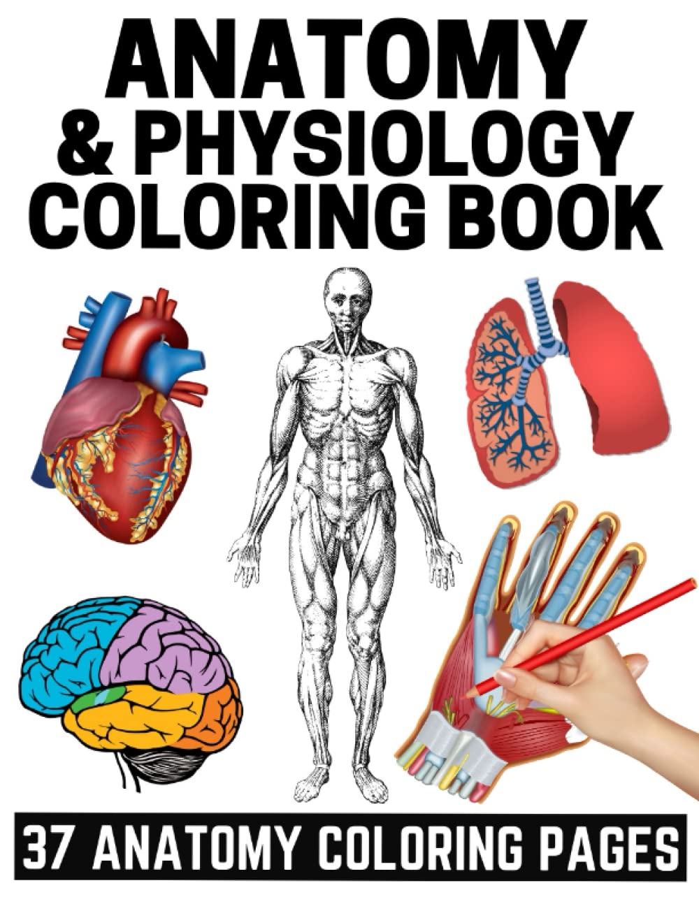 Anatomy and Physiology Coloring Book: 37 Anatomy Coloring Book for medical students, nursing students, teens and adults