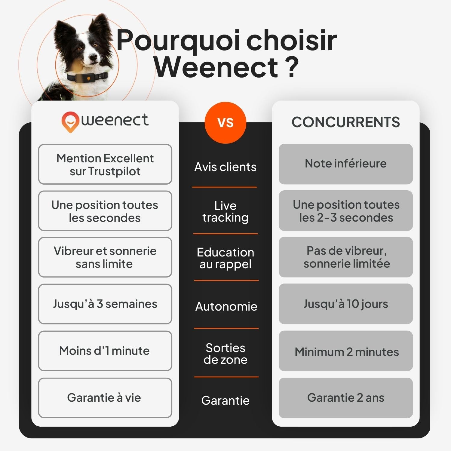 Weenect Chien XT - Traceur GPS pour Chien sans Collier | Étanche | Antenne XL | Portée Illimitée | Garantie à Vie | Abonnement Requis