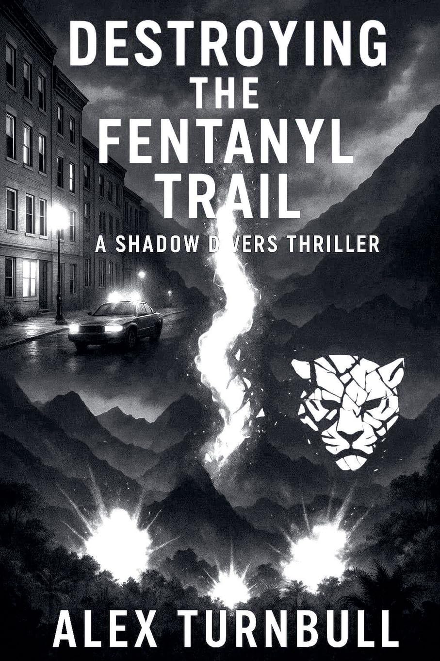 Destroying the Fentanyl Trail: 3 (Shadow Divers Thrillers)