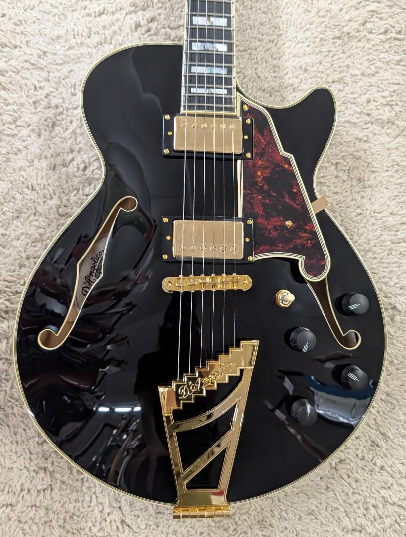 Amazon.com: D'Angelico Excel SS Semi-hollowbody Electric Guitar