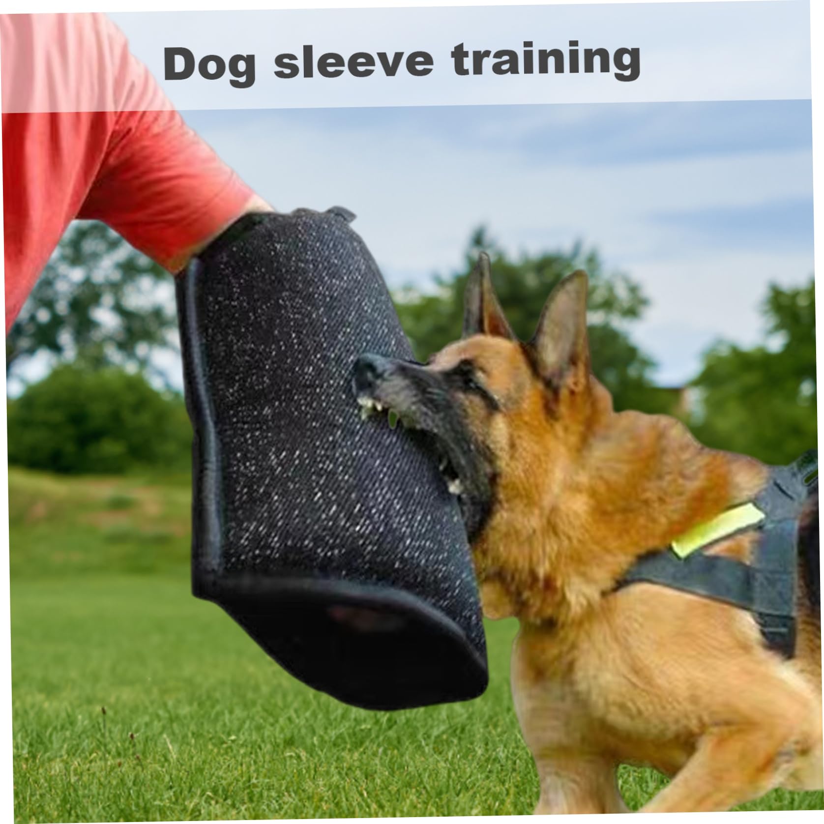 Manicotto per morsi per cani in nylon, protezione per braccio per addestramento professionale