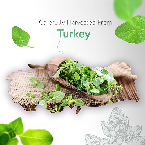 Miniatura 3 de HBNO Aceite esencial de orégano orgánico  1 oz (1.0 fl oz)  Aceite esencial de orégano orgánico certificado por USDA para aromaterapia, fabricación