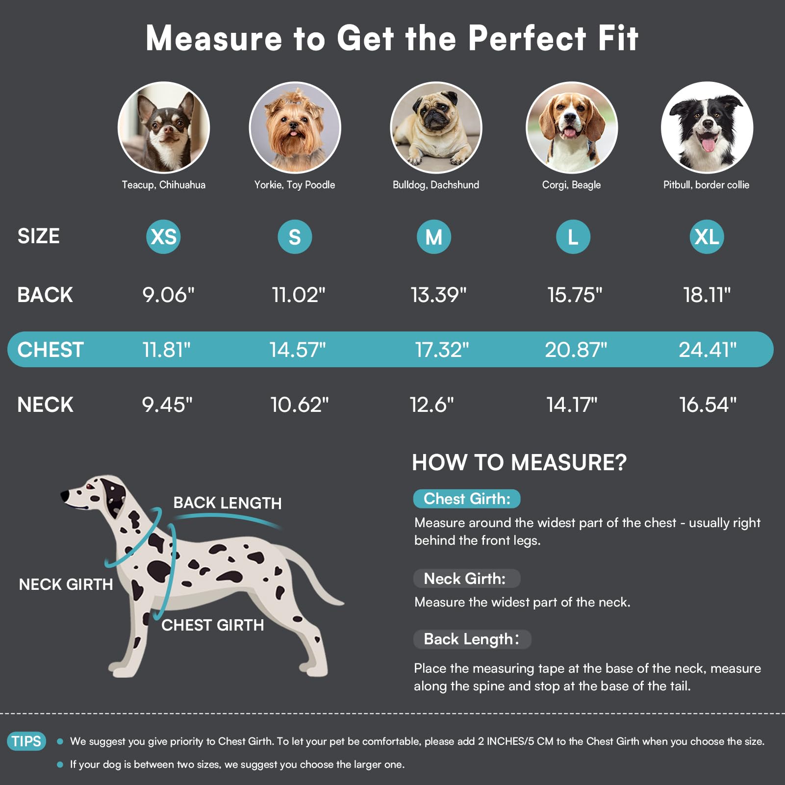Queenmore Dog Jumpers with High Elasticity - Image 3