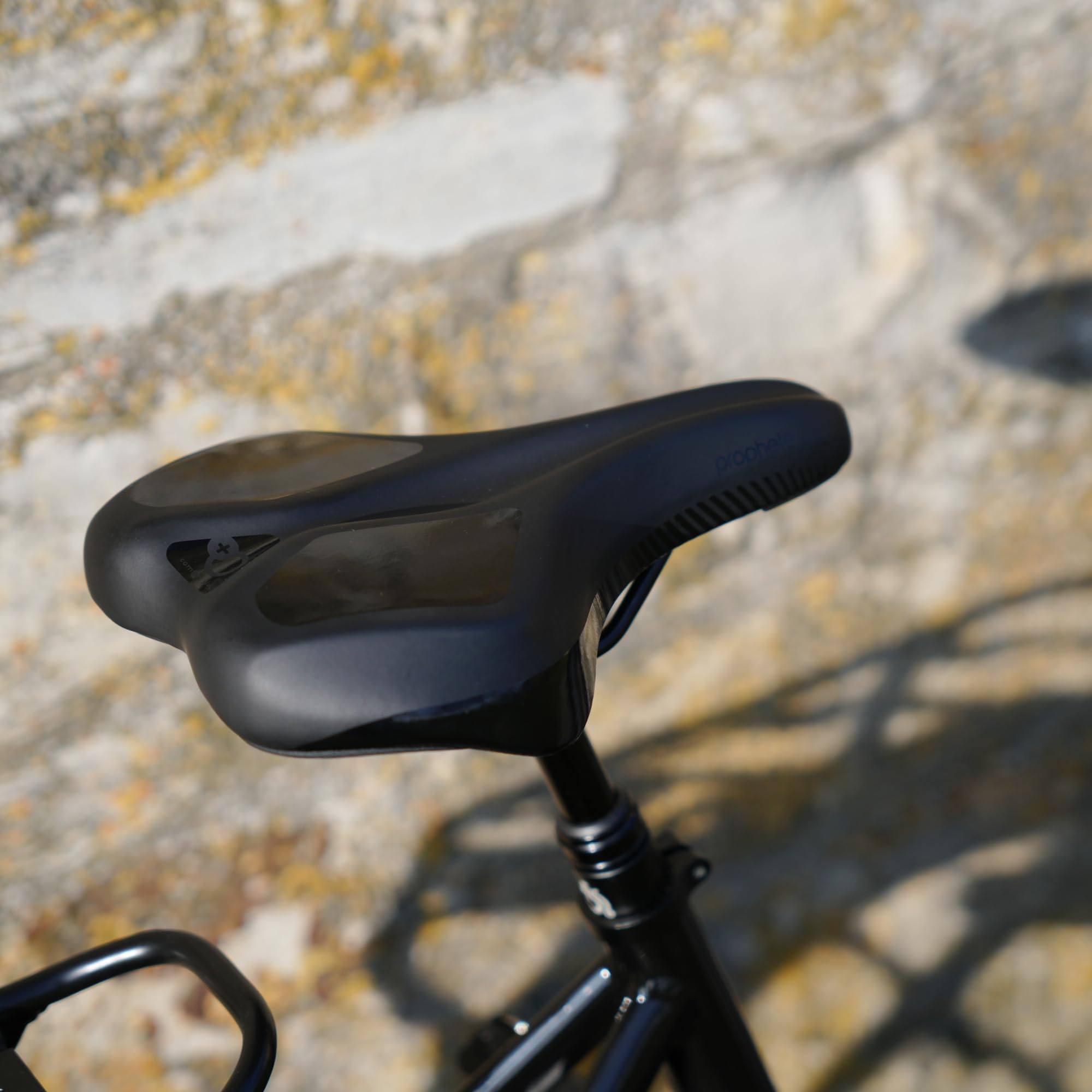 Prophete GENIESSER, E-Bike 28" – AEG Mittelmotor 250W, 220 km Reichweite,7-Gang Nabenschaltung, Hydraulische Scheibenbremsen, TFT Display, Schwarz/Silbergrün