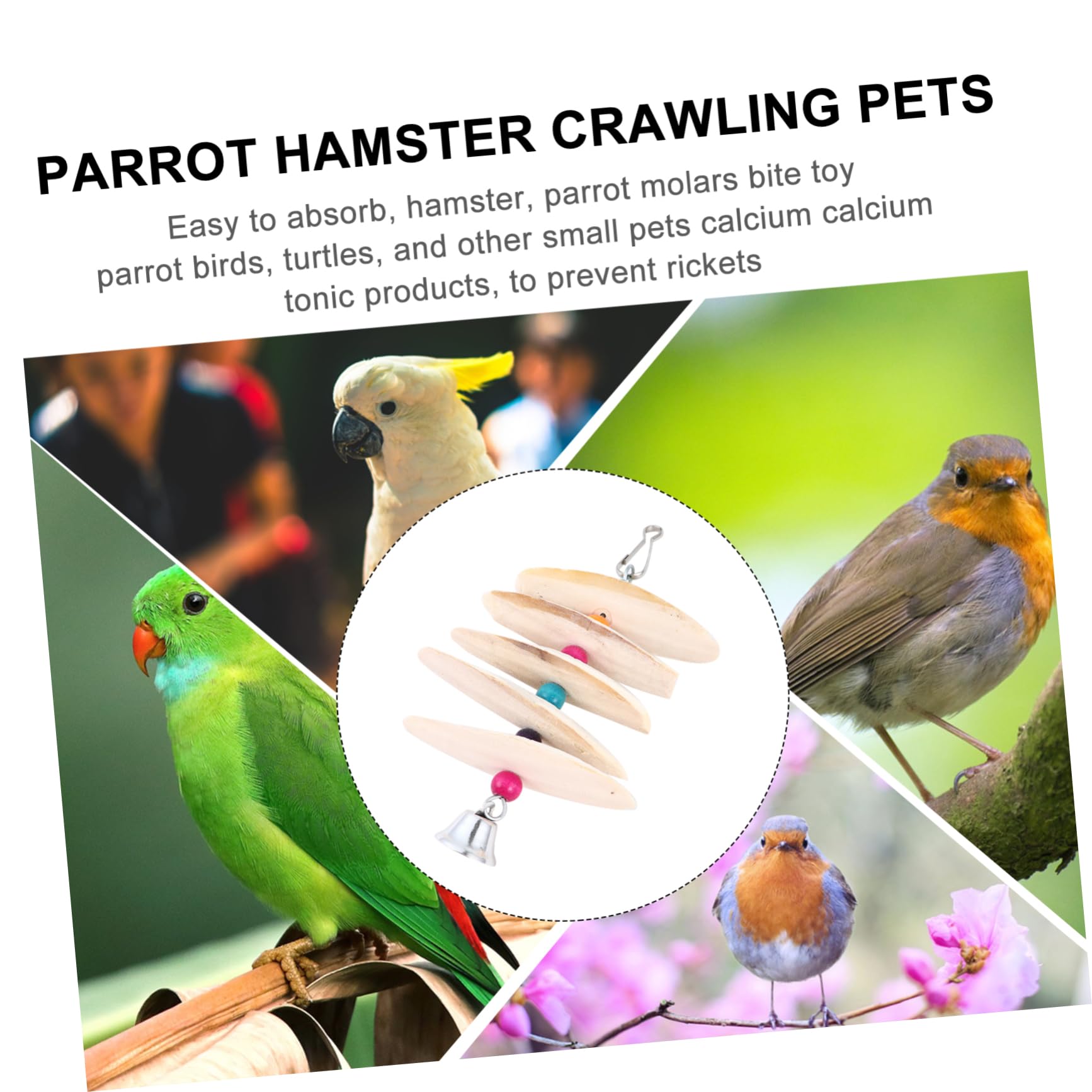 Mipcase 4pièces Casse-croûte De Seiche pour Oiseaux De Compagnie Jouet à Mâcher pour Perroquets Et Molaires Accessoire pour Perruche Ondulée Et Conures Couleur Aléatoire