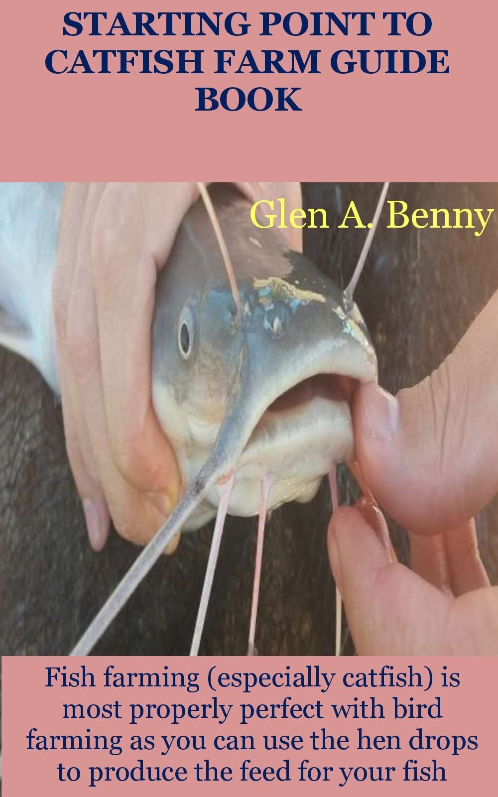 Buy STARTING POINT TO CATFISH FARM GUIDE BOOK Fish farming (especially