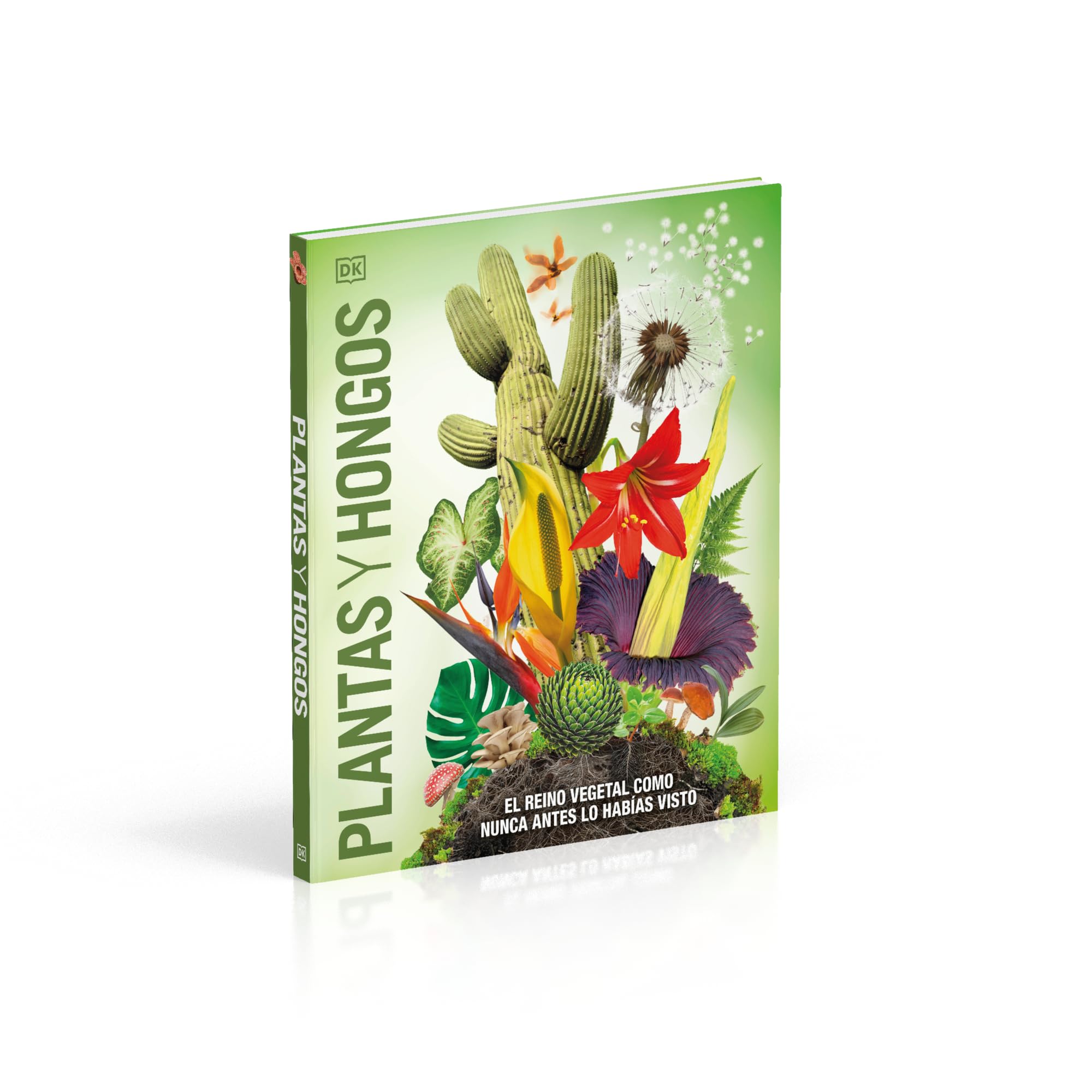 Plantas y hongos (Mundo 3D): El reino vegetal como nunca antes lo habías visto (Enciclopedia visual juvenil)