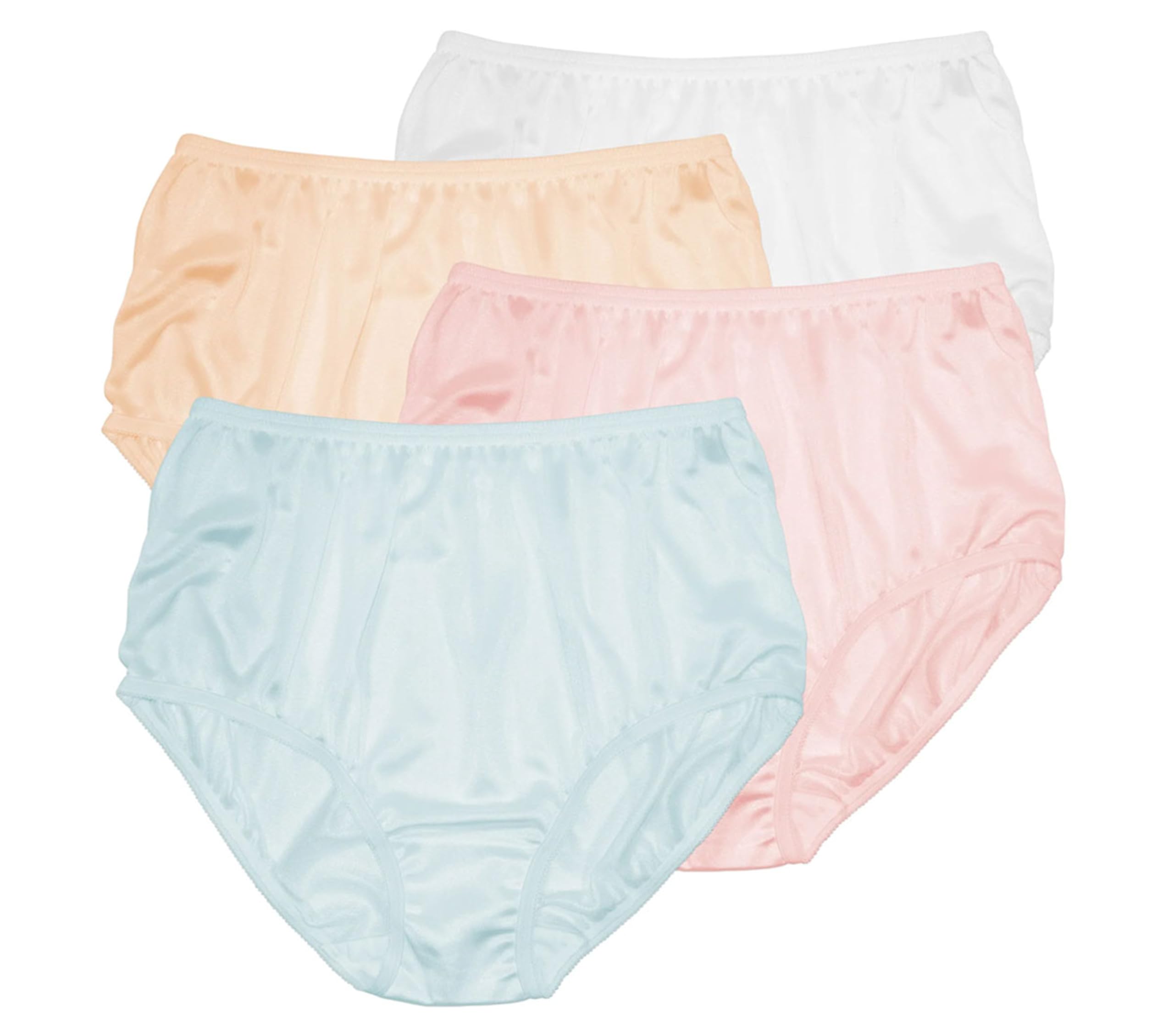 Teri Women's 331 Plain Jane Classic Nylon Silky-Smooth Lightweight Breathable Full Coverage Brief Panty - 4 Pack
