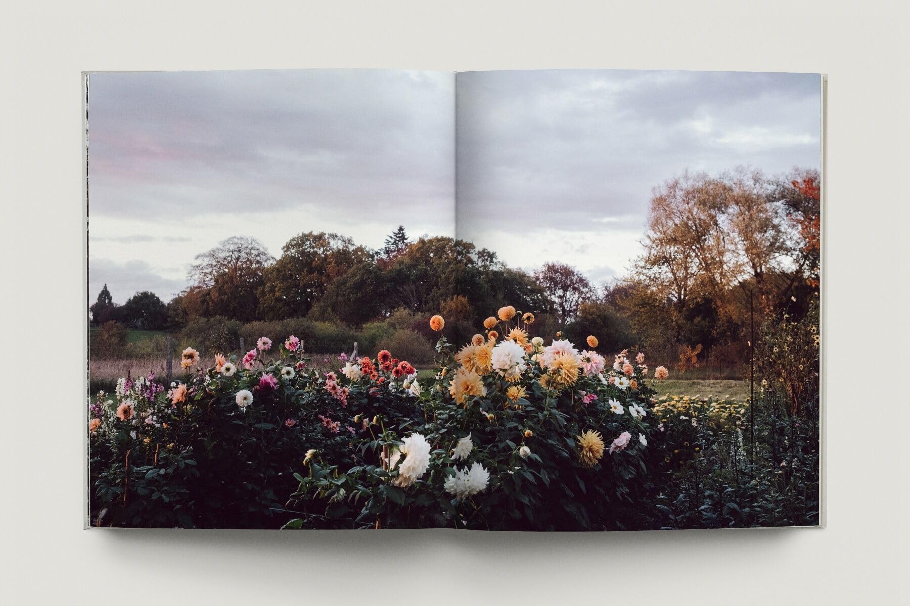 Zu den Wiesen: Vom naturnahen und artenreichen Gärtnern. Ein Gartenporträt. Das neue Buch zum Blog Krautkopf - Deutscher Gartenbuchpreis 2024