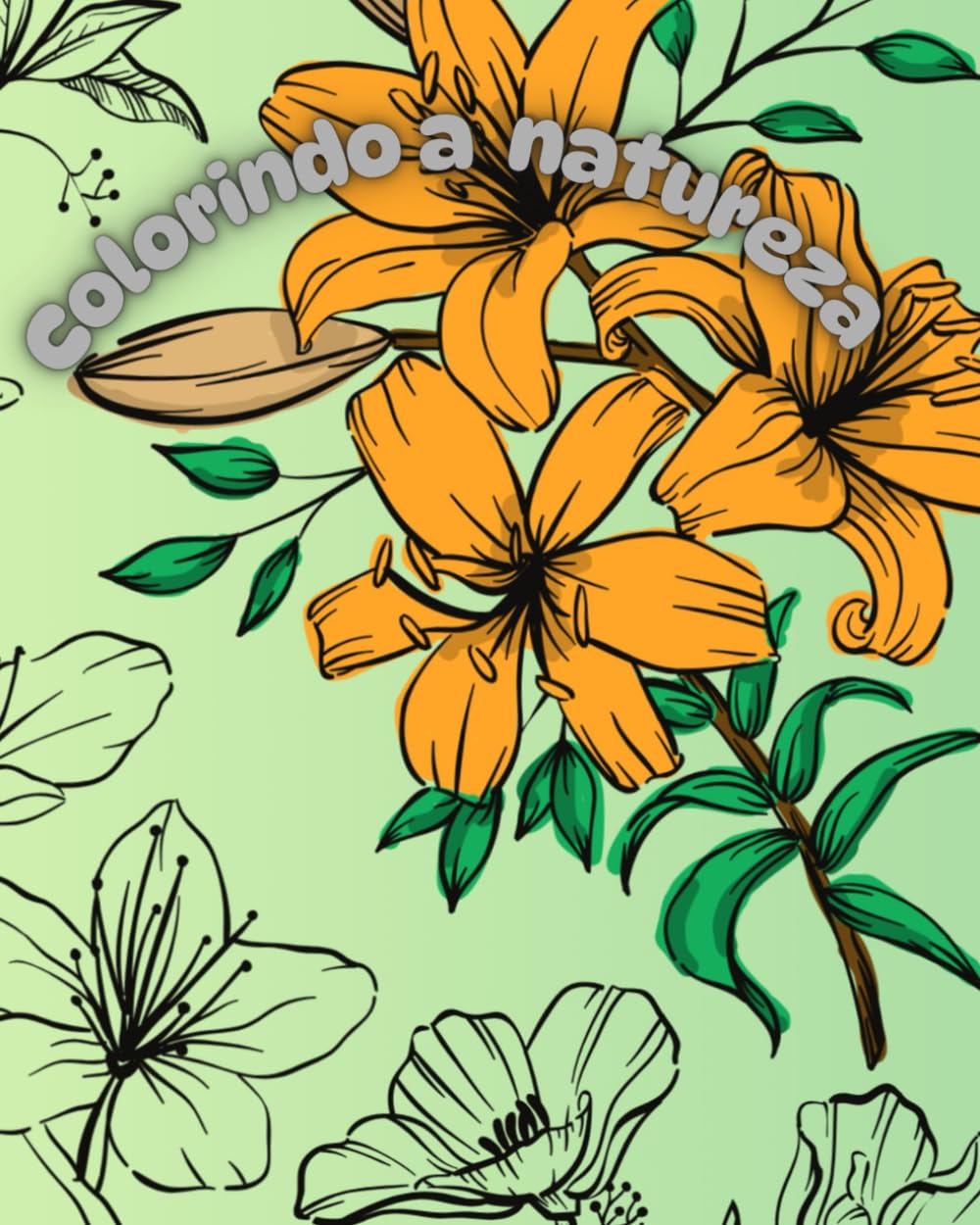Colorindo a natureza: Livro para colorir
