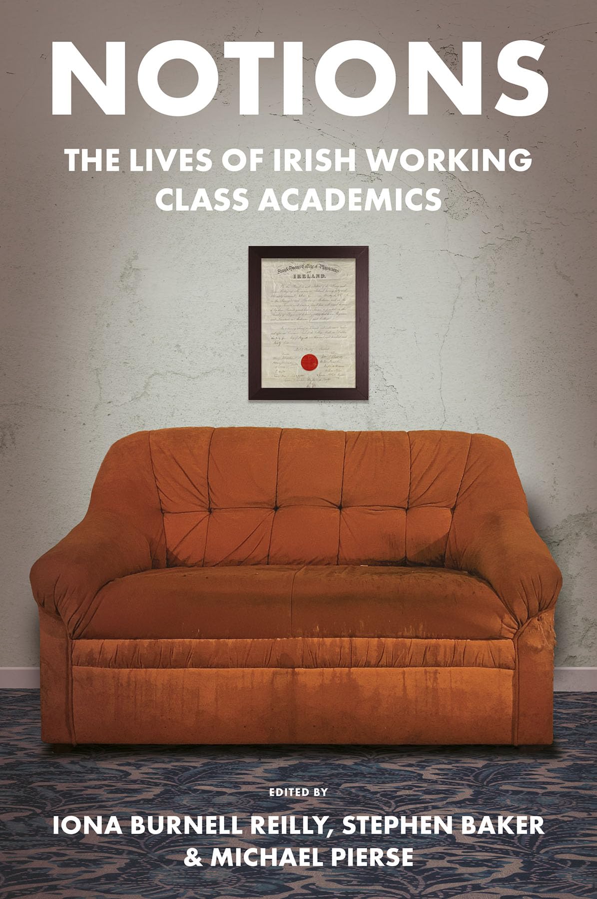 Notions The Lives of Irish Working Class Academics (Paperback Book)