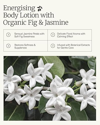 Miniatura 4 de Aeolis Loción corporal  Hidrata y nutre las manos, la cara y el cuerpo  Absorbe rápidamente  Utiliza jazmín, aloe vera y granada + aceite de oliva