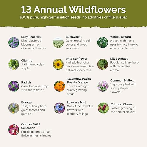Miniatura 3 de Bee Happy - Mezcla de flores silvestres orgánicas - 14 libra - Semillas mixtas de flores silvestres, semillas orgánicas atraen abejas, atrae