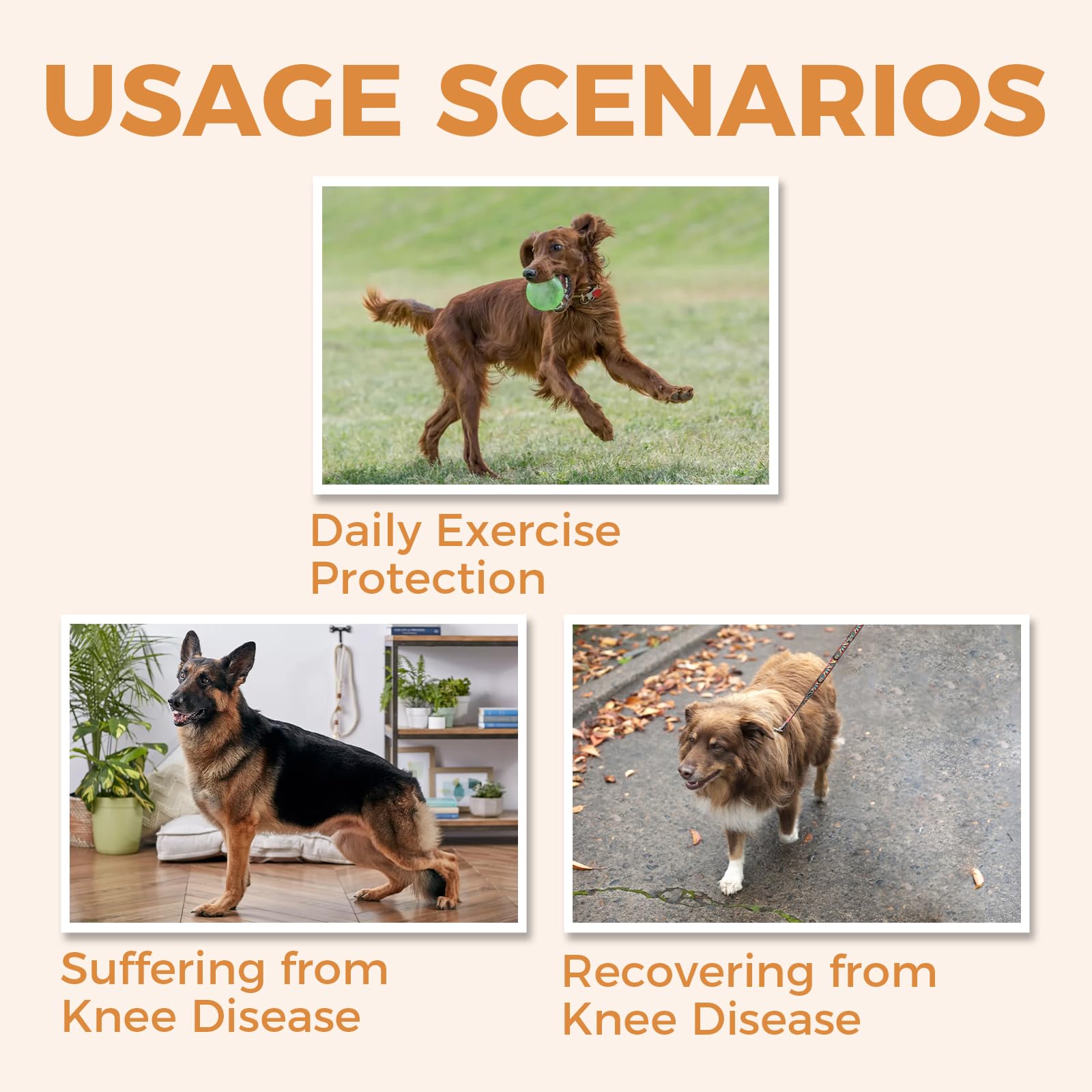 Tutore per ginocchio per cani per gambe strappate, rotula lussante, artrite e dolori articolari, tutore per legamento crociato per cani, con stecca in metallo, supporto incernierato per CCL,