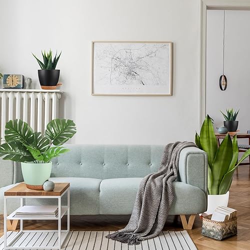 Miniatura 7 de Remerry 15 macetas de riego automático de 76.565.55 pulgadas con orificio de drenaje, macetas de plástico para plantas de interior, macetas de riego