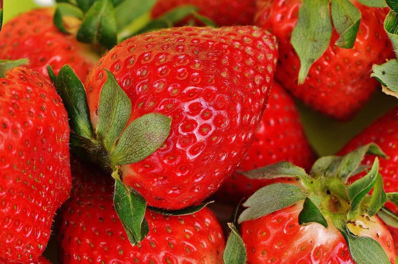 Hymor gefriergetrocknete Erdbeeren in Scheiben 4x 350g – 100% Frucht, wiederverschließbare Aufbewahrungsbox für Lebensmittel, Abfüllung in Deutschland, ideal für Porridge, Smoothies & Müsli