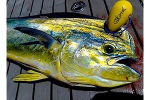 Ikejime Fish Spike -- Humane Fish Killing Tool