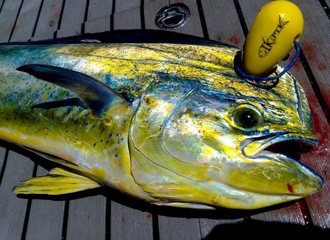 Ikejime Fish Spike Stainless Steel