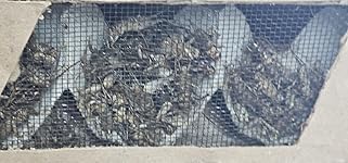 Review Image by Paula Corbin-Davis Paula Corbin-Davis