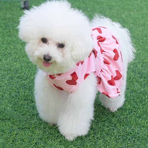 Miniatura 123 de CuteBone - Vestido de terciopelo para perro, cuello alto, falda de cachorro de búfalo rojo, traje de mascota, ropa de gato con lazo para el pelo