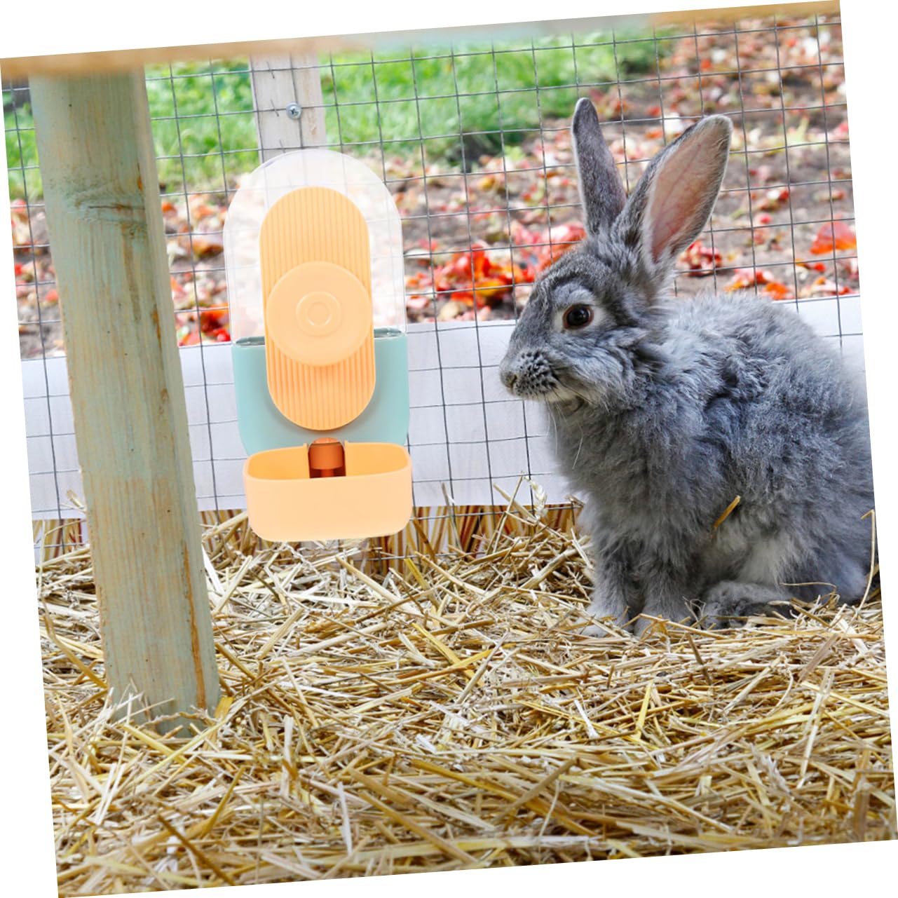 Angoily Mangiatoia Per Animali Domestici Distributore Di Cibo Sospeso Strumento Per Alimentazione Dei Conigli Adatto Gatti e Porcellini d Realizzato in Plastica Duratura